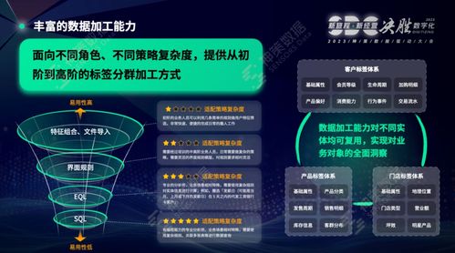 神策數據榮登Forrester 2024年Q1亞太區CDP格局報告，彰顯數據處理服務卓越實力