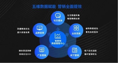 智營銷數據管理中心 全域聚合與治理，賦能企業精準營銷決策