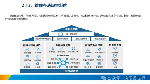 XX集團數(shù)據(jù)治理體系建設(shè)方案 數(shù)據(jù)處理服務(wù)的戰(zhàn)略實施路徑