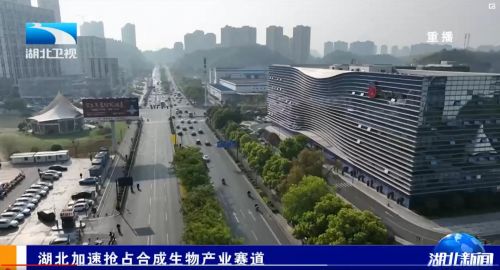安琪酵母勇?lián)溨鹘巧?共建湖北省合成生物產(chǎn)業(yè)技術(shù)創(chuàng)新聯(lián)合體，加速搶占生物經(jīng)濟(jì)新賽道
